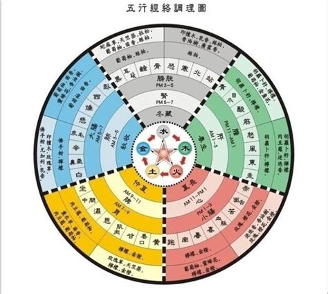 五術入門|五術是什麼？傳統五術是什麼？讓老師父詳細告訴你關於道家五術。